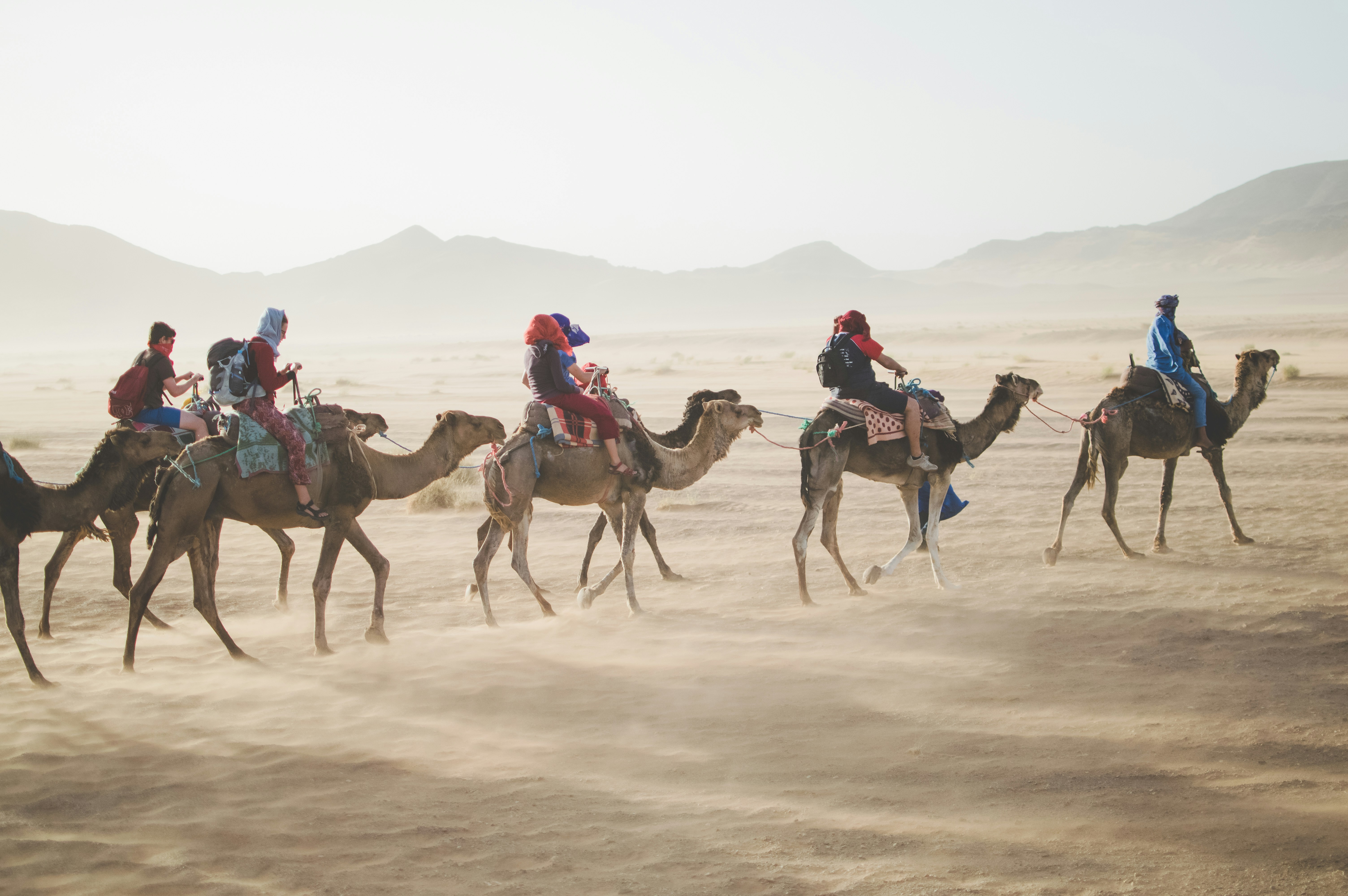 Group horse riding experience