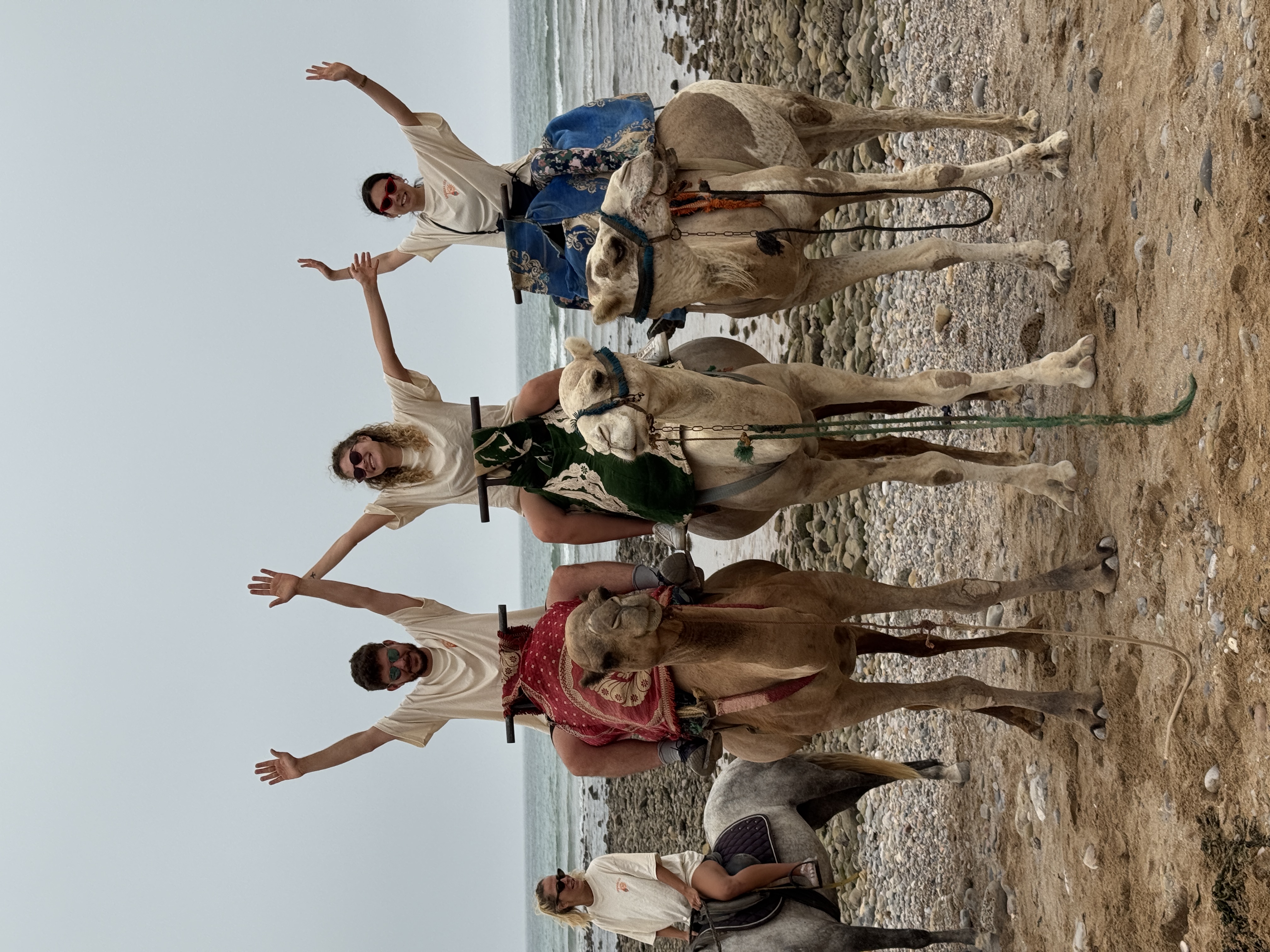Camel Ride