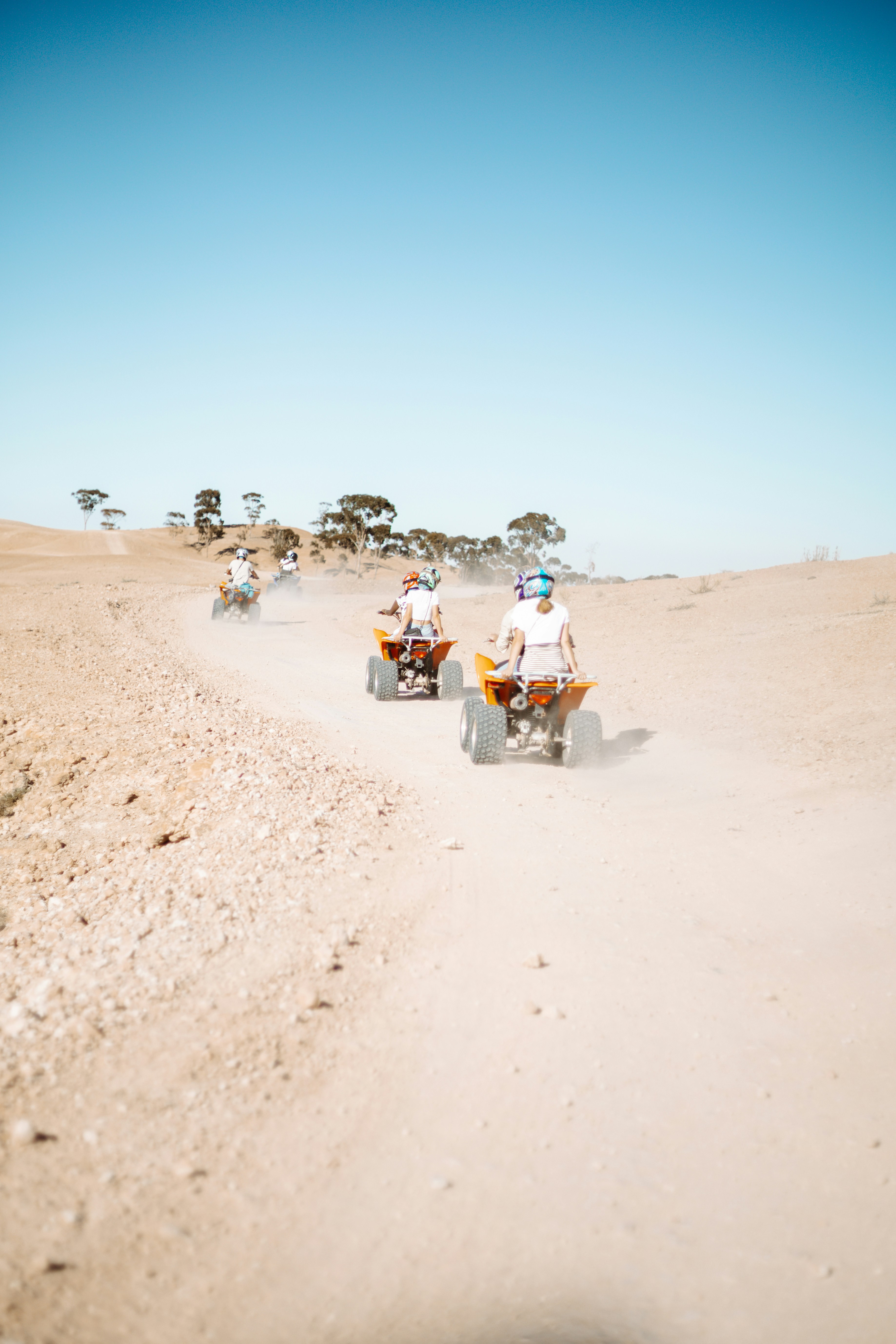 Quad bike tour with scenic countryside views